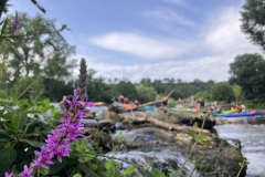 Stage d'Été 17,18 et 19 Juillet