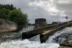 IMG_2187