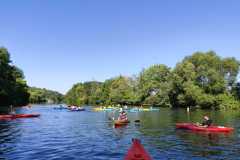 IMG-20250728-WA0005