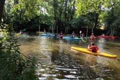 IMG-20250729-WA0017