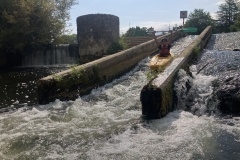 IMG_9973