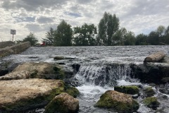 IMG_6521
