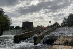 IMG_6523