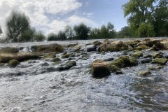 IMG_6555
