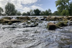 IMG_6556