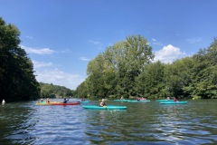 IMG_5945
