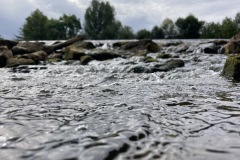 IMG_6309