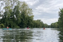 IMG_6317