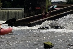 IMG_5548