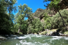 DCIM100GOPROGOPR0350.JPG