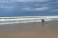 IMG-20250930-WA0025