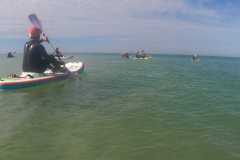 IMG-20250930-WA0131