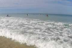 IMG-20250930-WA0132