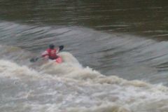 IMG-3799