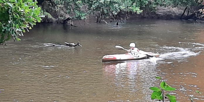 Descente Régionale du Teich